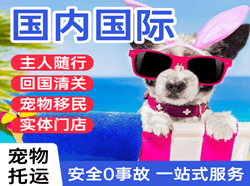 天津空运地址国际宠物托运 【国